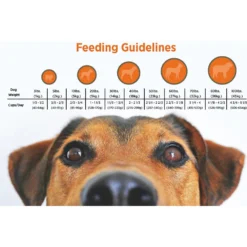 Blackwood Salmon Meal & Field Pea Recipe Grain-Free Dry Dog Food 10 Blackwood Salmon Meal & Field Pea Recipe Grain-Free Dry Dog Food -Pawsphoria Sales Store 79172 PT4. AC SS1800 V1550528840