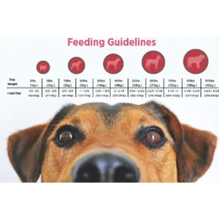 Blackwood Buffalo Meal & Field Pea Recipe Grain-Free Dry Dog Food -Pawsphoria Sales Store 79202 PT4. AC SS1800 V1550529120