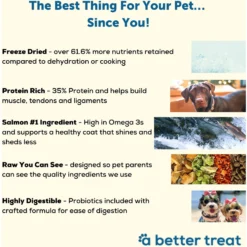 A Better Treat Raw Salmon Dog Freeze-Dried Food 8 A Better Treat Raw Salmon Dog Freeze-Dried Food -Pawsphoria Sales Store 793886 PT2. AC SS1800 V1677693645