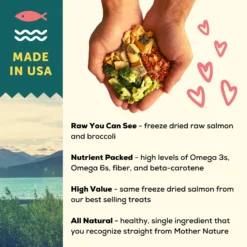A Better Treat Raw Salmon Dog Freeze-Dried Food 9 A Better Treat Raw Salmon Dog Freeze-Dried Food -Pawsphoria Sales Store 793886 PT3. AC SS1800 V1677694149