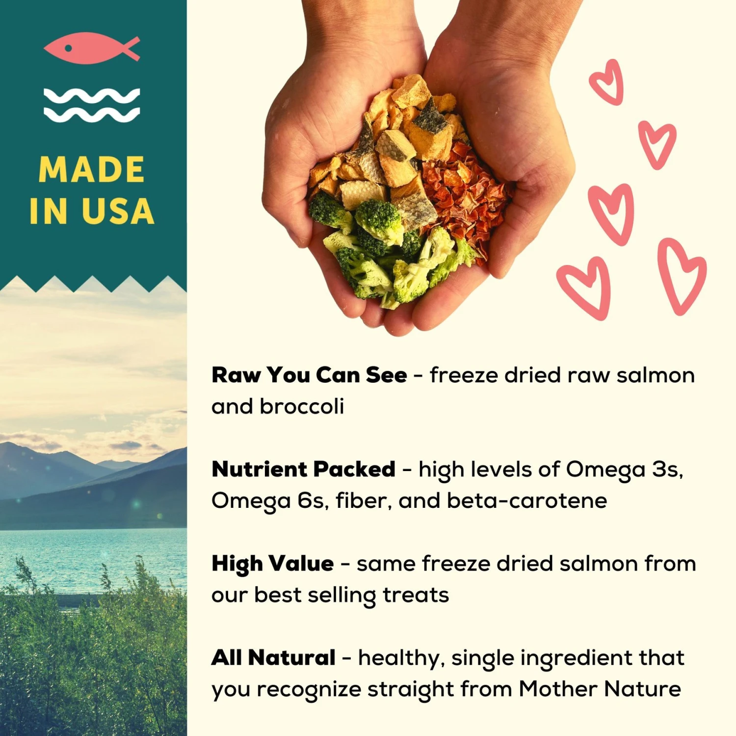 A Better Treat Raw Salmon Dog Freeze-Dried Food 4 A Better Treat Raw Salmon Dog Freeze-Dried Food - Image 4