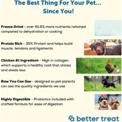 A Better Treat Chicken Dog Freeze-Dried Food 8 A Better Treat Chicken Dog Freeze-Dried Food -Pawsphoria Sales Store 793918 PT2. AC SS1800 V1677694030