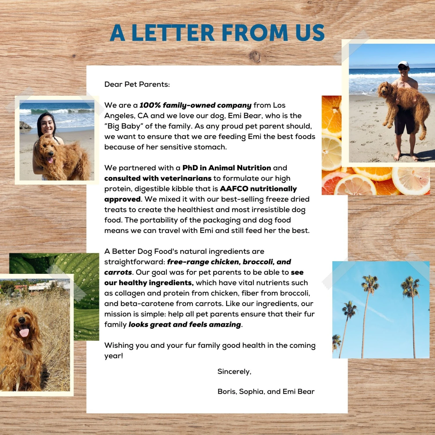 A Better Treat Chicken Dog Freeze-Dried Food 6 A Better Treat Chicken Dog Freeze-Dried Food - Image 6