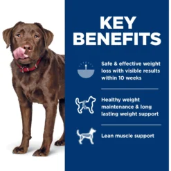 Hill's Science Diet Adult Perfect Weight Large Breed Chicken Dry Dog Food -Pawsphoria Sales Store 794894 PT4. AC SS1800 V1679494656