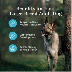 Greenies Large Dental Dog Treats & Blue Buffalo Wilderness Large Breed Adult High Protein Natural Chicken & Wholesome Grains Dry Dog Food -Pawsphoria Sales Store 796190 PT8. AC SS1800 V1678140398