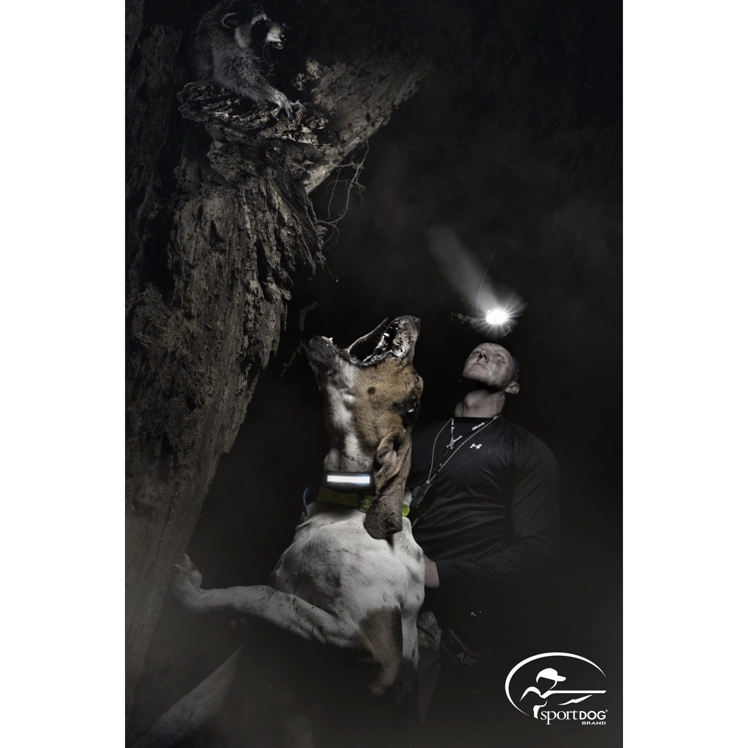 SportDOG SDR-AH Add-A-Dog Waterproof Collar Receiver 2 SportDOG SDR-AH Add-A-Dog Waterproof Collar Receiver - Image 2