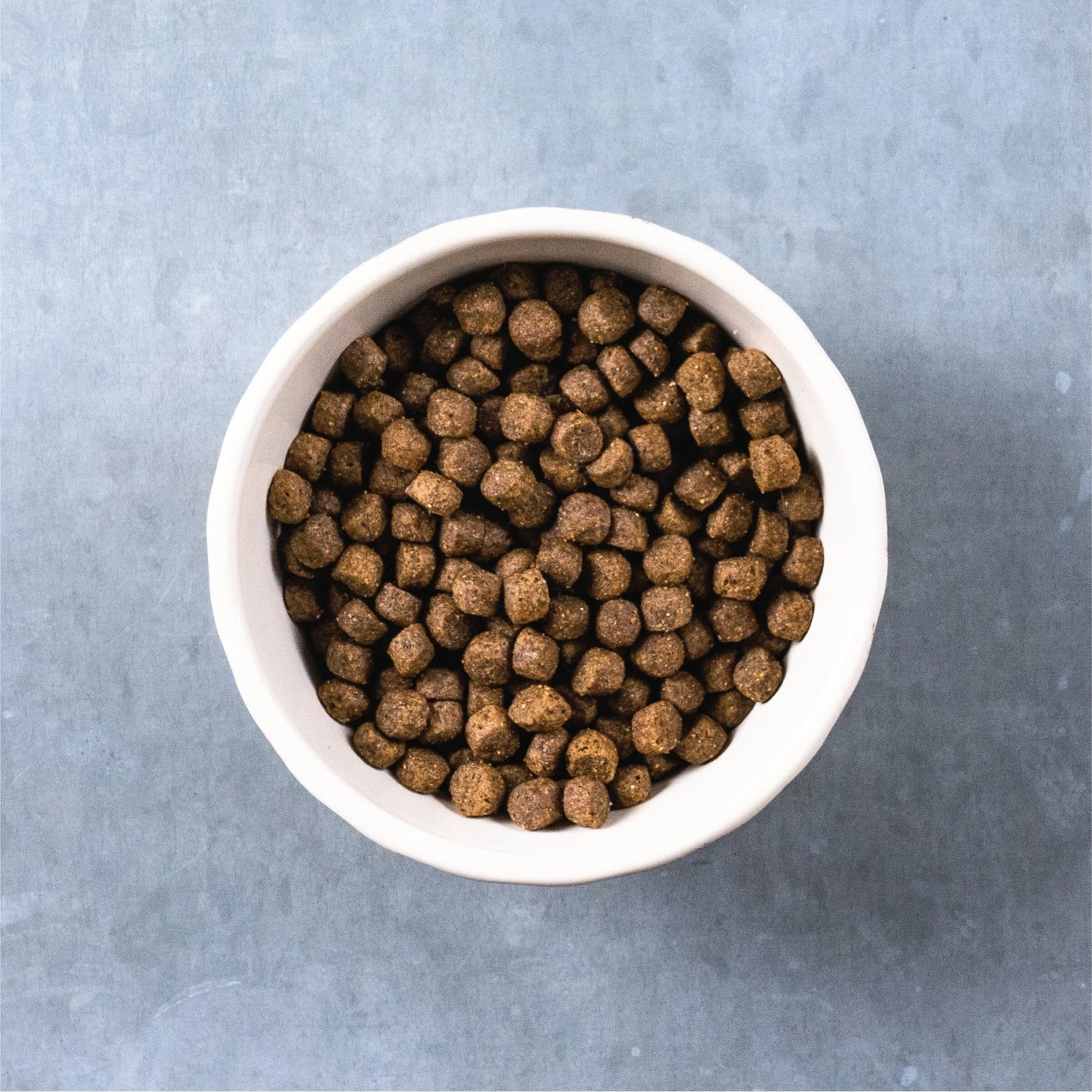 Evolve Deboned Puppy Grain-Free Chicken, Sweet Potato, & Pea Recipe Dry Dog Food 5 Evolve Deboned Puppy Grain-Free Chicken, Sweet Potato, & Pea Recipe Dry Dog Food - Image 5