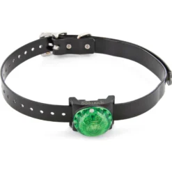 SportDOG Locator Beacon For Dog Collars -Pawsphoria Sales Store 79975 PT2. AC SS1800 V1657661028