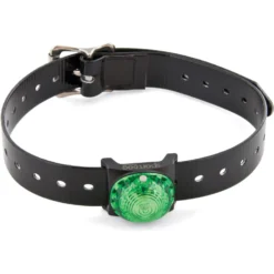 SportDOG Locator Beacon For Dog Collars -Pawsphoria Sales Store 79975 PT5. AC SS1800 V1657661028