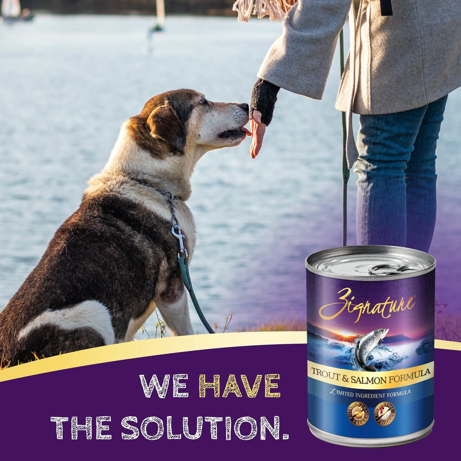 Zignature Trout & Salmon Limited Ingredient Formula Canned Dog Food 6 Zignature Trout & Salmon Limited Ingredient Formula Canned Dog Food - Image 6