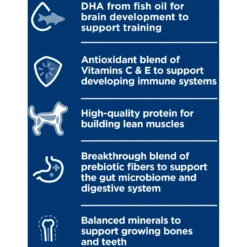 Hill's Science Diet Puppy Chicken & Rice Stew Recipe Wet Dog Food, 12.5-oz Can, Case Of 12 13 Hill's Science Diet Puppy Chicken & Rice Stew Recipe Wet Dog Food, 12.5-oz Can, Case Of 12 -Pawsphoria Sales Store 804086 PT4. AC SS1800 V1680632739