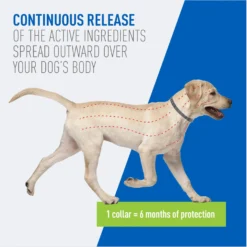 Adams® Adams Flea & Tick Collar PLUS For Dogs & Puppies, 1 Count -Pawsphoria Sales Store 804246 PT3. AC SS1800 V1697032129