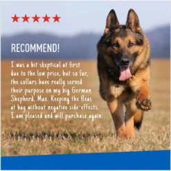 Adams® Adams Flea & Tick Collar PLUS For Dogs & Puppies, 1 Count -Pawsphoria Sales Store 804246 PT6. AC SS1800 V1697032128