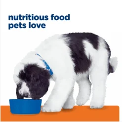 Hill's Prescription Diet C/d Multicare Urinary Care Chicken & Vegetable Stew Canned Dog Food -Pawsphoria Sales Store 80492 PT7. AC SS1800 V1676910310