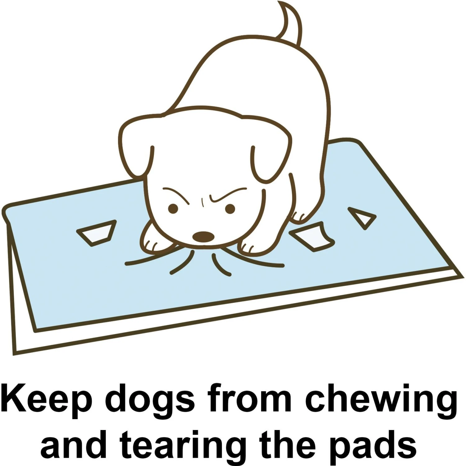 Richell PAW TRAX Splash Free Dog Potty Pad Tray 5 Richell PAW TRAX Splash Free Dog Potty Pad Tray - Image 5