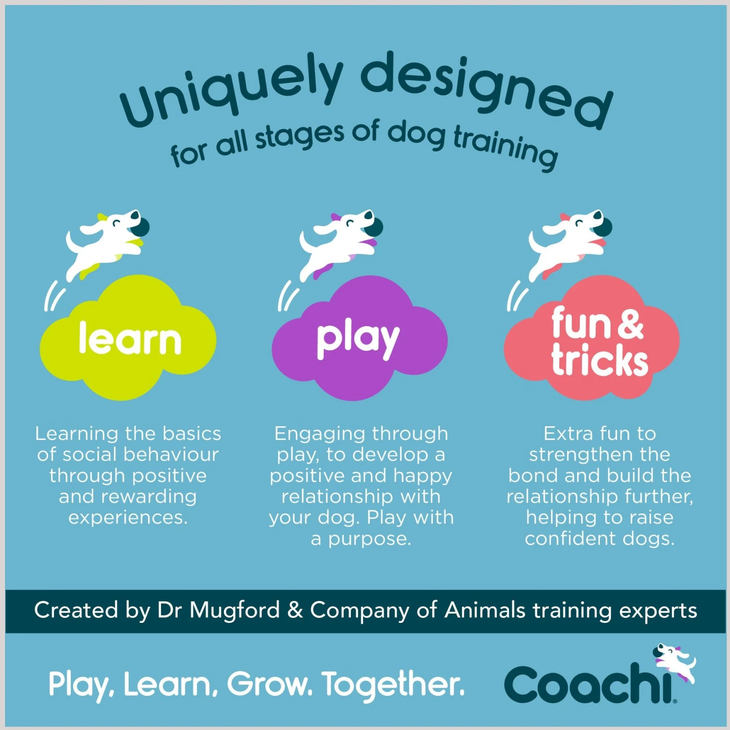 Coachi Tuggi Spider Dog Dummy, Navy 7 Coachi Tuggi Spider Dog Dummy, Navy - Image 7