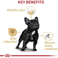 Royal Canin Breed Health Nutrition French Bulldog Adult Dry Dog Food -Pawsphoria Sales Store 81123 PT4. AC SS1800 V1697212427