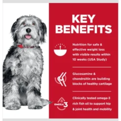 Hill's Science Diet Perfect Weight & Joint Support Chicken Flavored Adult Dry Dog Food -Pawsphoria Sales Store 819494 PT3. AC SS1800 V1683207482