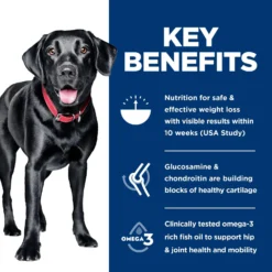 Hill's Science Diet Perfect Weight & Joint Support Chicken Flavored Large Breed Adult Dry Dog Food, 25-lb Bag 14 Hill's Science Diet Perfect Weight & Joint Support Chicken Flavored Large Breed Adult Dry Dog Food, 25-lb Bag -Pawsphoria Sales Store 819510 PT5. AC SS1800 V1683207478