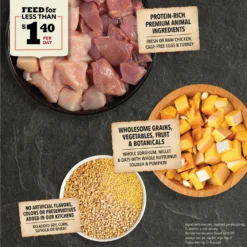 ACANA Wholesome Grains Real Chicken Eggs & Turkey Dry Puppy Food, 22.5-lb Bag -Pawsphoria Sales Store 822678 PT3. AC SS1800 V1696276591