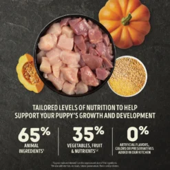 ACANA Wholesome Grains Large Breed Puppy Dry Dog Food, 22.5-lb Bag -Pawsphoria Sales Store 822710 PT3. AC SS1800 V1682540129