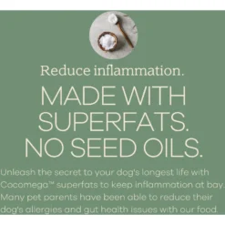 Yumwoof Natural Pet Food Perfect Kibble Gut Health Coconut Chicken Dehydrated Dog Food, 14-oz Bag -Pawsphoria Sales Store 823774 PT4. AC SS1800 V1681230819