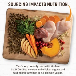 Earth Animal Wisdom Air-Dried Chicken Recipe Premium Natural Dog Food, 8-lb Bag 11 Earth Animal Wisdom Air-Dried Chicken Recipe Premium Natural Dog Food, 8-lb Bag -Pawsphoria Sales Store 836022 PT2. AC SS1800 V1684336812