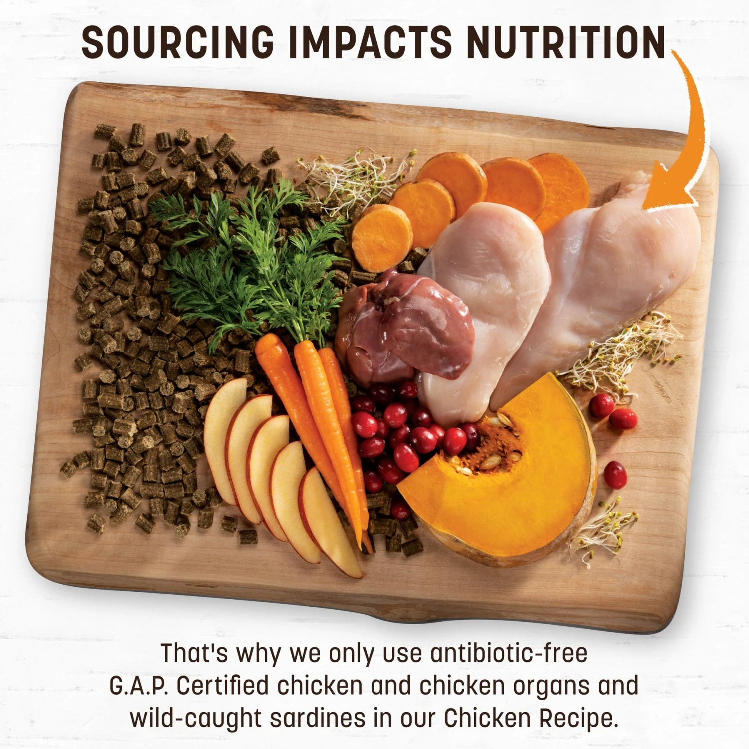 Earth Animal Wisdom Air-Dried Chicken Recipe Premium Natural Dog Food, 8-lb Bag 3 Earth Animal Wisdom Air-Dried Chicken Recipe Premium Natural Dog Food, 8-lb Bag - Image 3