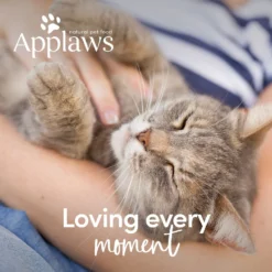 Applaws Taste Toppers Gravy Selection Natural Wet Dog Food, 3-oz Pouch, Case Of 12 11 Applaws Taste Toppers Gravy Selection Natural Wet Dog Food, 3-oz Pouch, Case Of 12 -Pawsphoria Sales Store 836918 PT6. AC SS1800 V1700681311