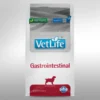 Farmina Vet Life Gastrointestinal Canine Dry Dog Food