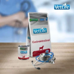 Farmina Vet Life Gastrointestinal Canine Dry Dog Food 14 Farmina Vet Life Gastrointestinal Canine Dry Dog Food -Pawsphoria Sales Store 837830 PT6. AC SS1800 V1703880287