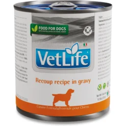Farmina Vet Life Recoup Recipe In Gravy Wet Dog Food, 10.6-oz Can, Case Of 6