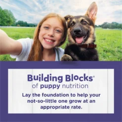 Puppy Chow High Protein With Real Chicken Large Breed Dry Puppy Food 11 Puppy Chow High Protein With Real Chicken Large Breed Dry Puppy Food -Pawsphoria Sales Store 839694 PT2. AC SS1800 V1701881168