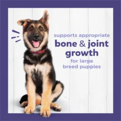 Puppy Chow High Protein With Real Chicken Large Breed Dry Puppy Food 13 Puppy Chow High Protein With Real Chicken Large Breed Dry Puppy Food -Pawsphoria Sales Store 839694 PT4. AC SS1800 V1701881656