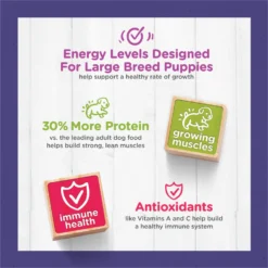 Puppy Chow High Protein With Real Chicken Large Breed Dry Puppy Food 16 Puppy Chow High Protein With Real Chicken Large Breed Dry Puppy Food -Pawsphoria Sales Store 839694 PT7. AC SS1800 V1701881648