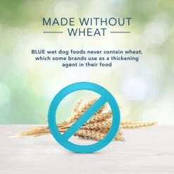 Blue Buffalo Freedom Adult Lamb Recipe Grain-Free Canned Dog Food -Pawsphoria Sales Store 84148 PT4. AC SS1800 V1585084647