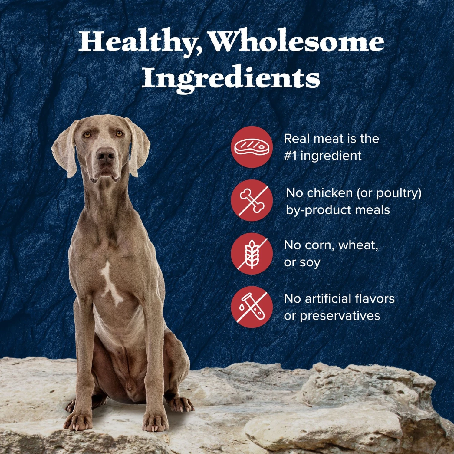 Blue Buffalo Wilderness Rocky Mountain Recipe Red Meat Dinner Senior Grain-Free Canned Dog Food 6 Blue Buffalo Wilderness Rocky Mountain Recipe Red Meat Dinner Senior Grain-Free Canned Dog Food - Image 6