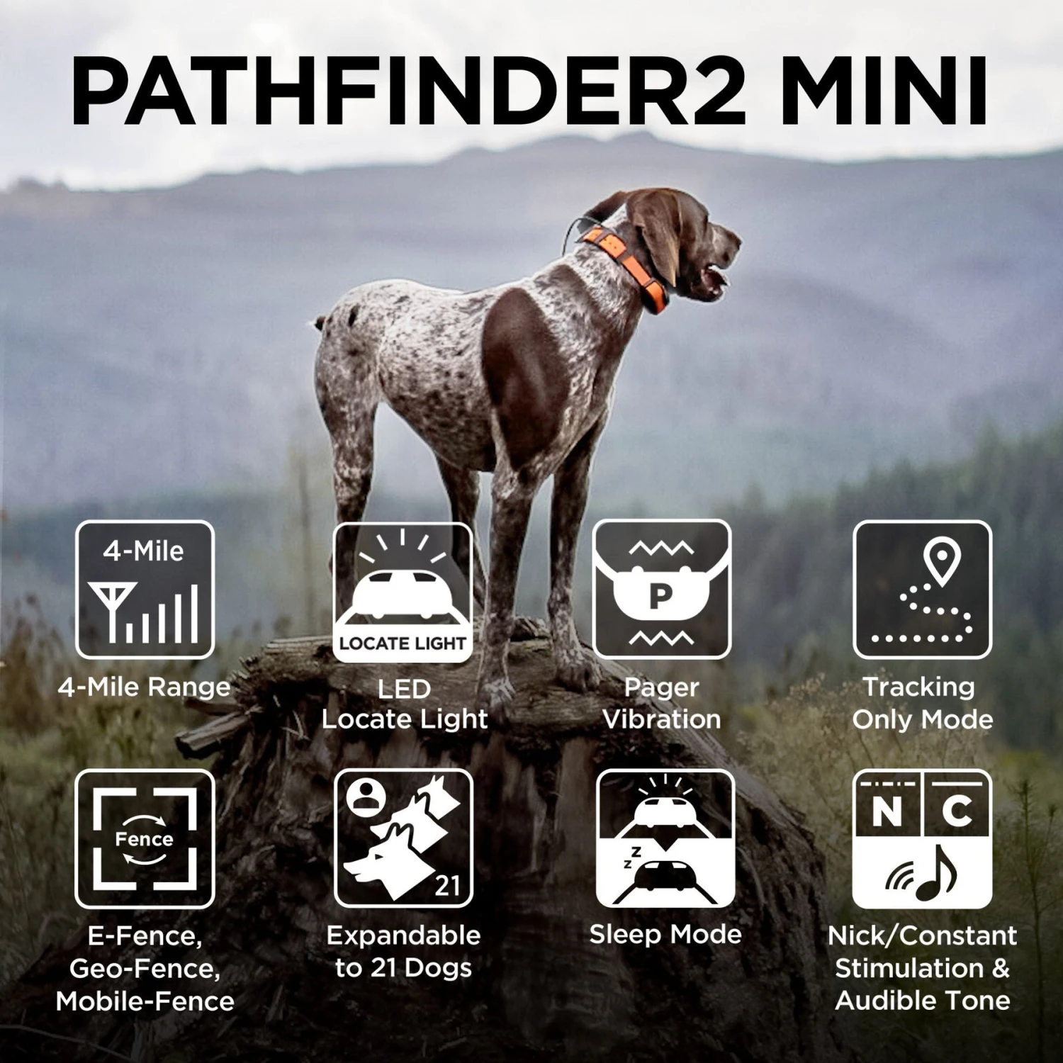 Dogtra PATHFINDER2 Mini Dog Tracking & Training System 4 Dogtra PATHFINDER2 Mini Dog Tracking & Training System - Image 4