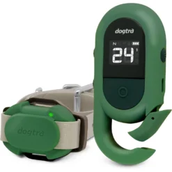Dogtra CUE Dog Bark Control Training, Green