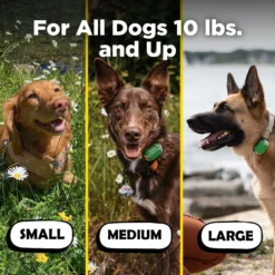 Dogtra CUE Dog Bark Control Training, Green -Pawsphoria Sales Store 842374 PT4. AC SS1800 V1690813615