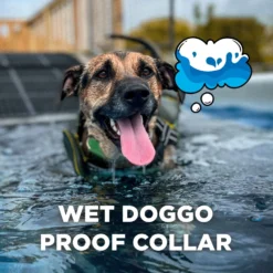 Dogtra CUE Dog Bark Control Training, Green -Pawsphoria Sales Store 842374 PT5. AC SS1800 V1690569957