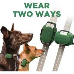Dogtra CUE Dog Bark Control Training, Green -Pawsphoria Sales Store 842374 PT6. AC SS1800 V1690574370