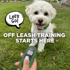 Dogtra CUE Dog Bark Control Training, Green -Pawsphoria Sales Store 842374 PT7. AC SS1800 V1690574294