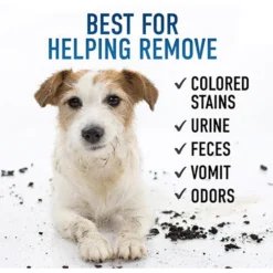 Hoover Oxy Stain Dog & Cat Stain Remover -Pawsphoria Sales Store 842574 PT2. AC SS1800 V1682534428