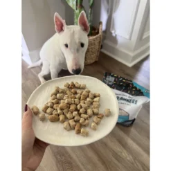 Sprankles Beef Recipe Freeze-Dried Raw Dog Food -Pawsphoria Sales Store 842854 PT4. AC SS1800 V1694787979