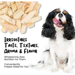 Sprankles Chicken Breast Grain-Free Freeze-Dried Dog & Cat Treats 11 Sprankles Chicken Breast Grain-Free Freeze-Dried Dog & Cat Treats -Pawsphoria Sales Store 842894 PT3. AC SS1800 V1683815689