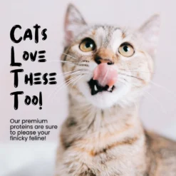 Sprankles Chicken Breast Grain-Free Freeze-Dried Dog & Cat Treats 12 Sprankles Chicken Breast Grain-Free Freeze-Dried Dog & Cat Treats -Pawsphoria Sales Store 842894 PT4. AC SS1800 V1683815688