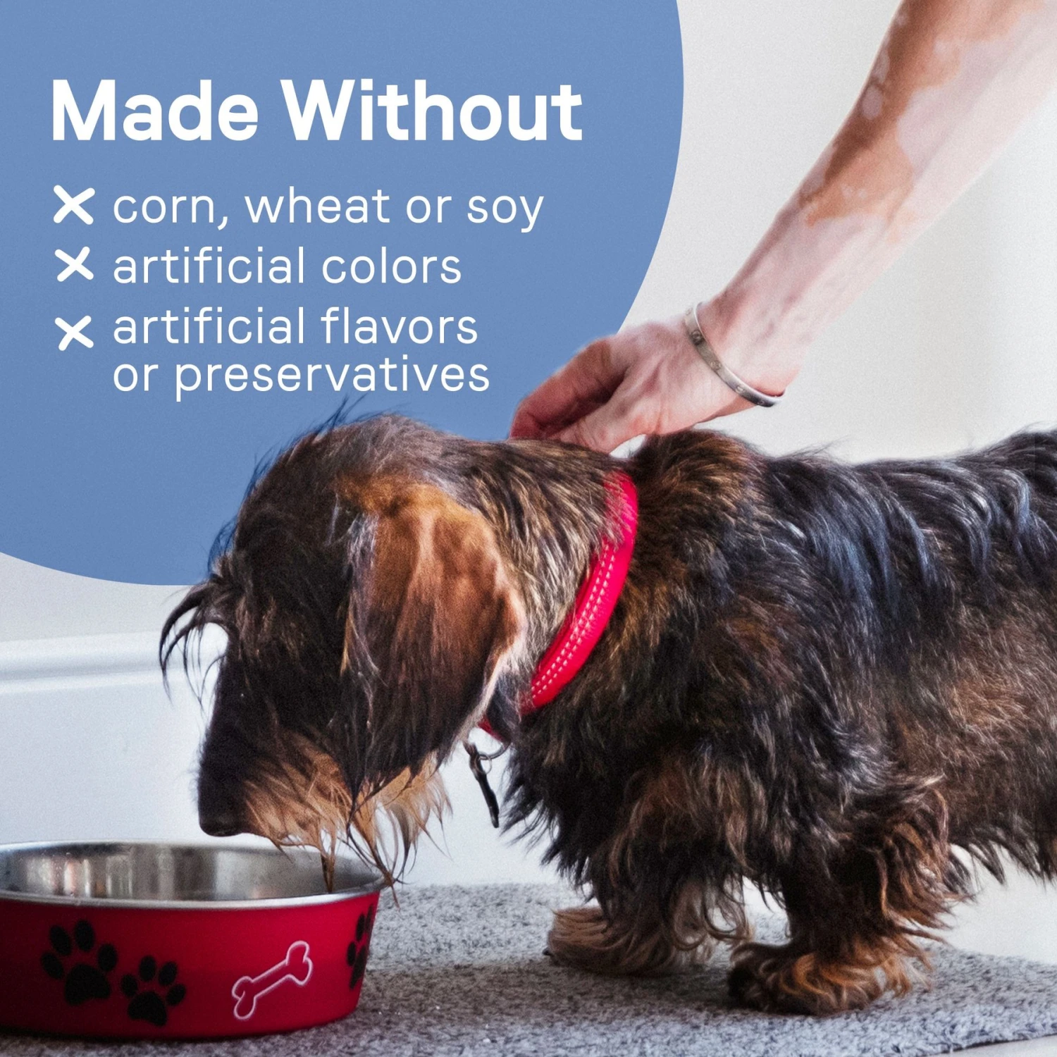 CANIDAE PURE Petite Protein Shreds Of Real Chicken Recipe In Gravy Dog Food Topper, 8.4-oz Box 6 CANIDAE PURE Petite Protein Shreds Of Real Chicken Recipe In Gravy Dog Food Topper, 8.4-oz Box - Image 6