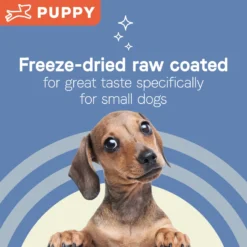 CANIDAE Pure Petite Premium Recipe Puppy Chicken & Wholesome Grains Dry Dog Food, 4-lb Bag -Pawsphoria Sales Store 843158 PT4. AC SS1800 V1683041377