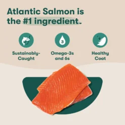 Jinx Salmon, Brown Rice & Sweet Potato ALS Kibble Dog Dry Food -Pawsphoria Sales Store 845246 PT2. AC SS1800 V1689709311